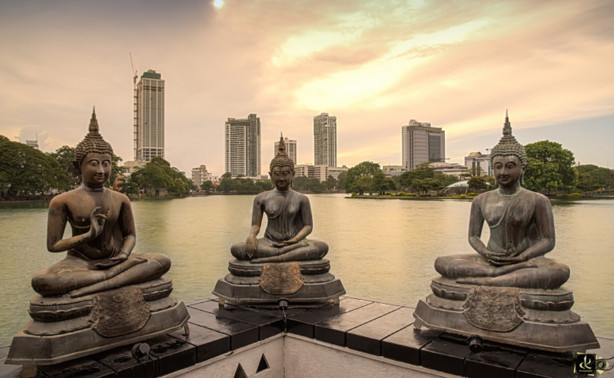 Colombo Bentota Kandy Nuwara Eliya Tour Package